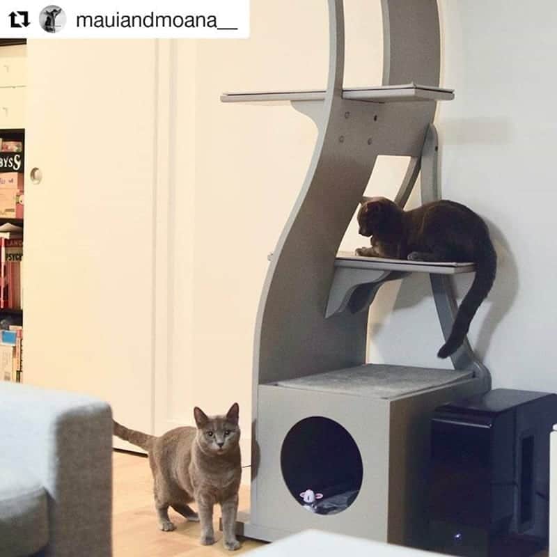 Lotus Cat Tower Smoke