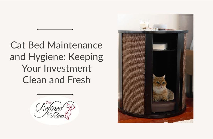 Cat Bed Maintenance and Hygiene