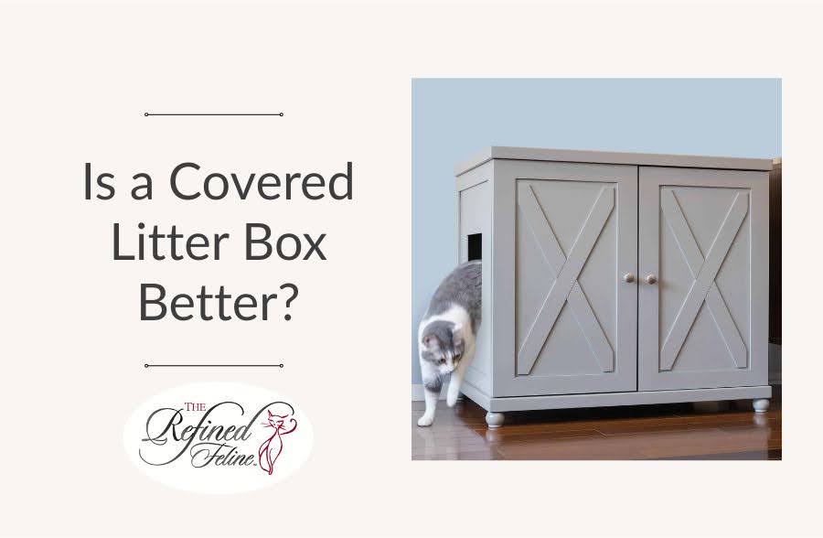 Is a Covered Litter Box Better