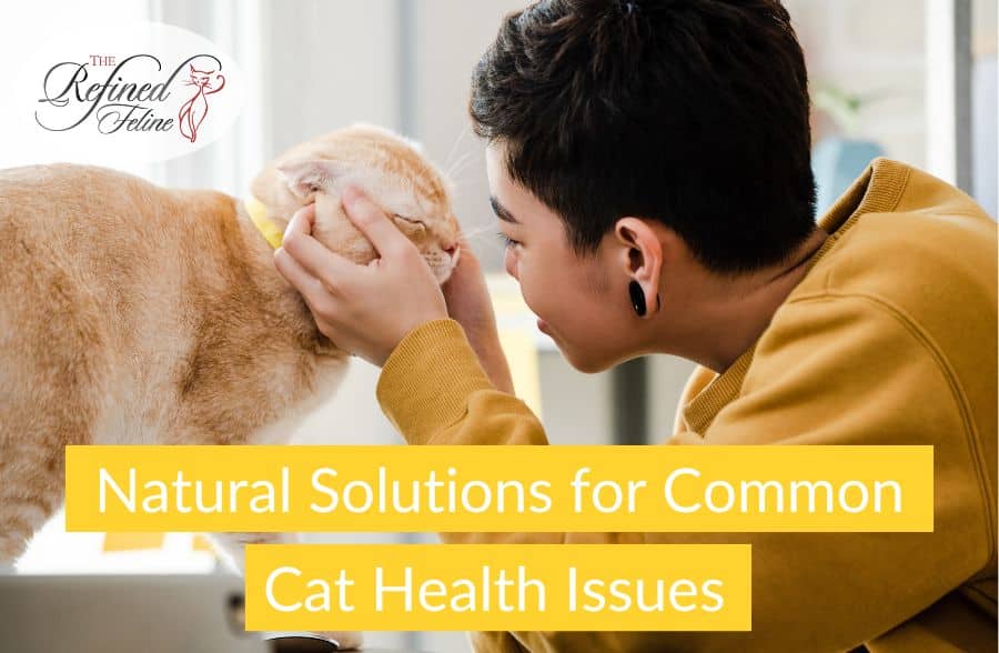 Natural Solutions for Common Cat Health Issues