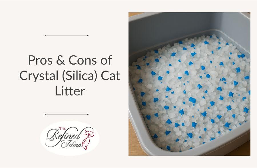 Pros & Cons of Crystal (Silica) Cat Litter