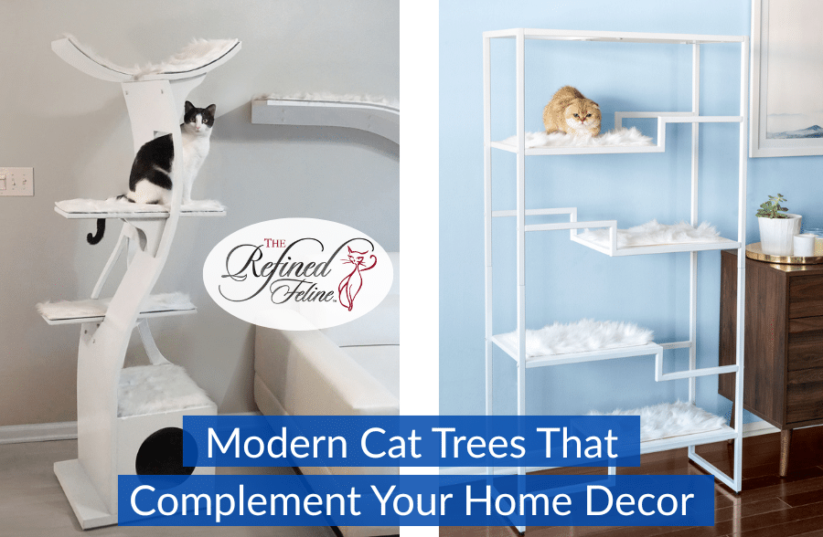 Best Modern Cat Trees That Make Your Home Stylish and Functional